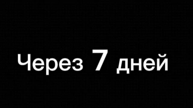 Мини фильм академия магии белых медведей + не большая история одного октонавта смотреть онлайн