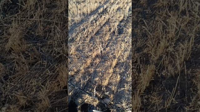 Как я провел лето 2025. Вертикальная нарезка #30 смотреть онлайн