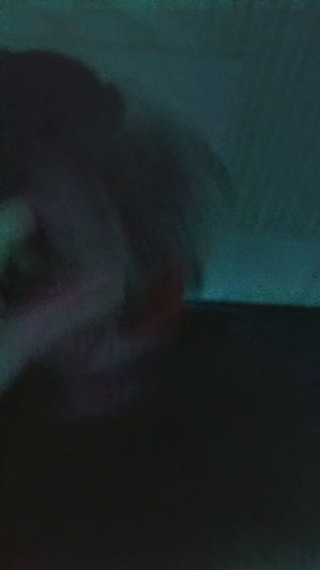 песня про кота