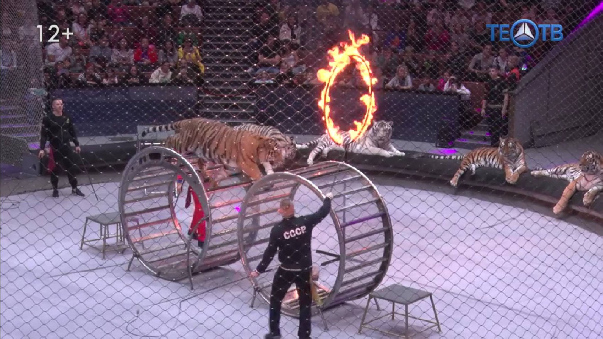 Большой Московский Цирк: за кулисами представления смотреть онлайн