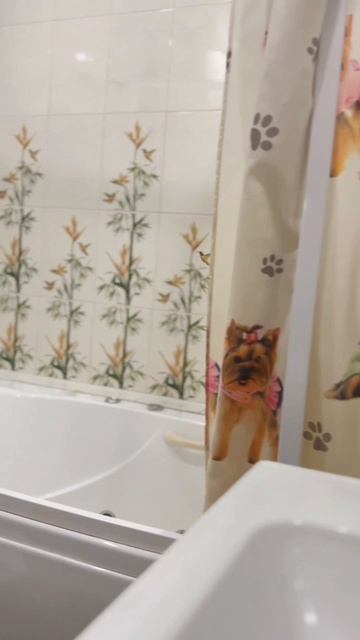 трёхкомнатная,Екатеринбург, ул.Юлиуса Фучика,11