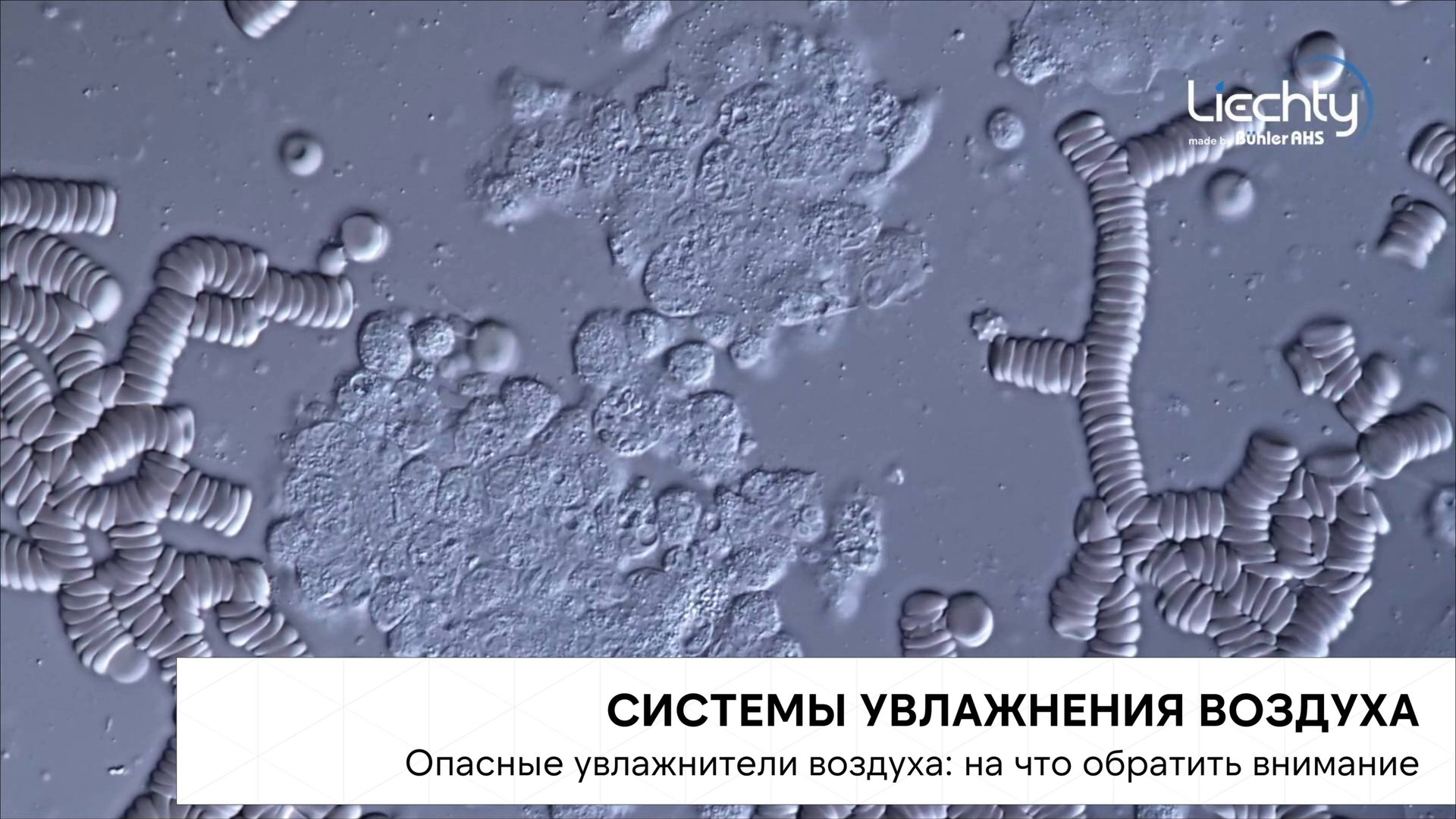 Опасные увлажнители воздуха: на что обратить внимание смотреть онлайн