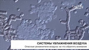 Опасные увлажнители воздуха: на что обратить внимание