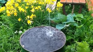 Дождь на даче