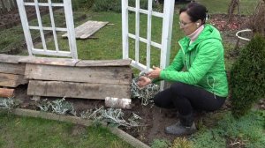 6 соток 30 октября 2025 года. Хроника