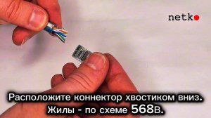 Коннектор RJ-45 (8p8c) cat.5е, экранированный, для одножильного и многожильного кабеля, Netko