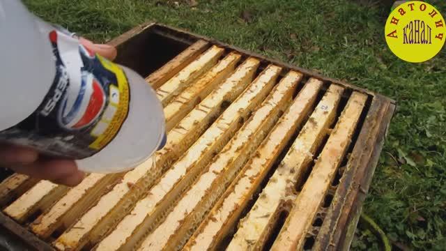 Примитивная обработка пчёл бипином смотреть онлайн