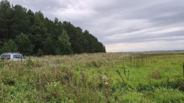 Как я провел лето 2025😁 #29