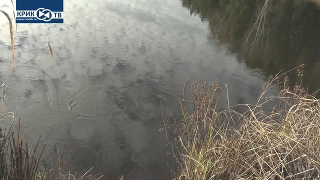 "Клуб охотников и рыболовов" выпуск 219 Рыбалка в Октябре #щука#рыбалка