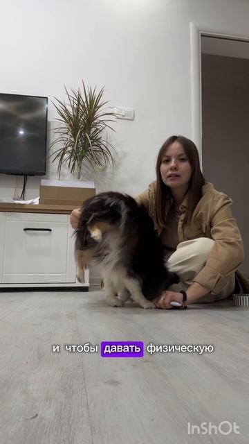 Зачем я это делаю?