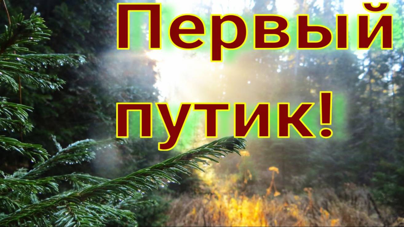 Несмотря на погоду открыл первый путик КА-2У соболь вышел обратная дорога первый прилов жду проверки смотреть онлайн