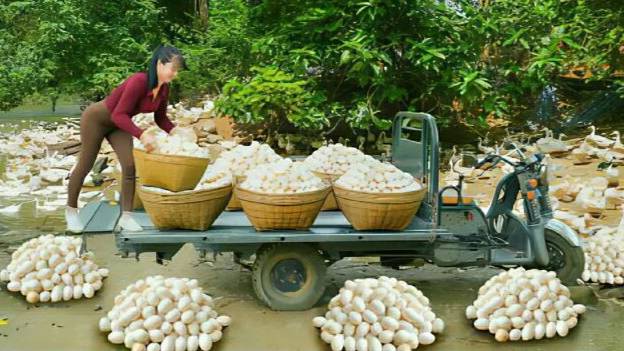 Собираю утиные яица и продаю их на деревенском рынке. Жизнь во Вьетнаме