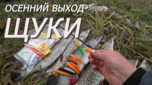 ПОПАЛИ НА ОСЕННИЙ ЖОР! ВЫХОД ЩУКИ ДЛИНОЮ В ДЕНЬ! ДЖИГ
