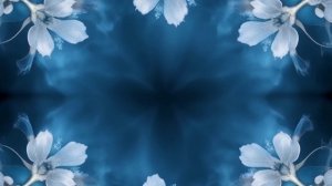 Футаж. Фон голубой. Цветы.