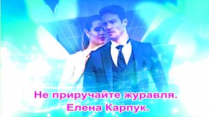 Не приручайте журавля. Елена Карпук. сл.Светлана Чеколаева.