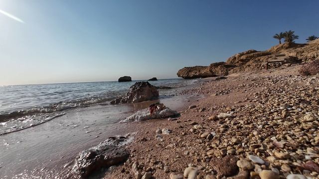 DJI_20251023083855_0095_D дохлый краб смотреть онлайн