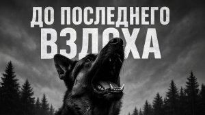 ДО ПОСЛЕДНЕГО ВЗДОХА. Страшные истории на ночь. Страшная история