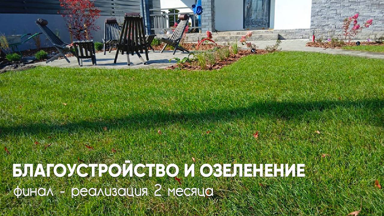 Реализация проекта за 2 месяца: что получилось