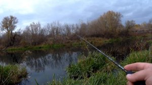 Окунь на микроджиг поздней осенью на реке.