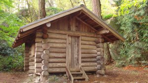 Строю бревенчатую хижину в лесу. АСМР Бушкрафт