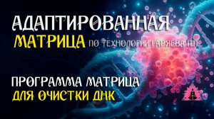 Матрица для Очистки ДНК 🌀 Адаптированная программа  по технологии Гаряева ☀️ SoftRadio.ru