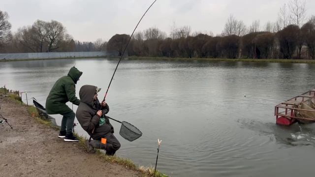 Онлайн с водоема смотреть онлайн