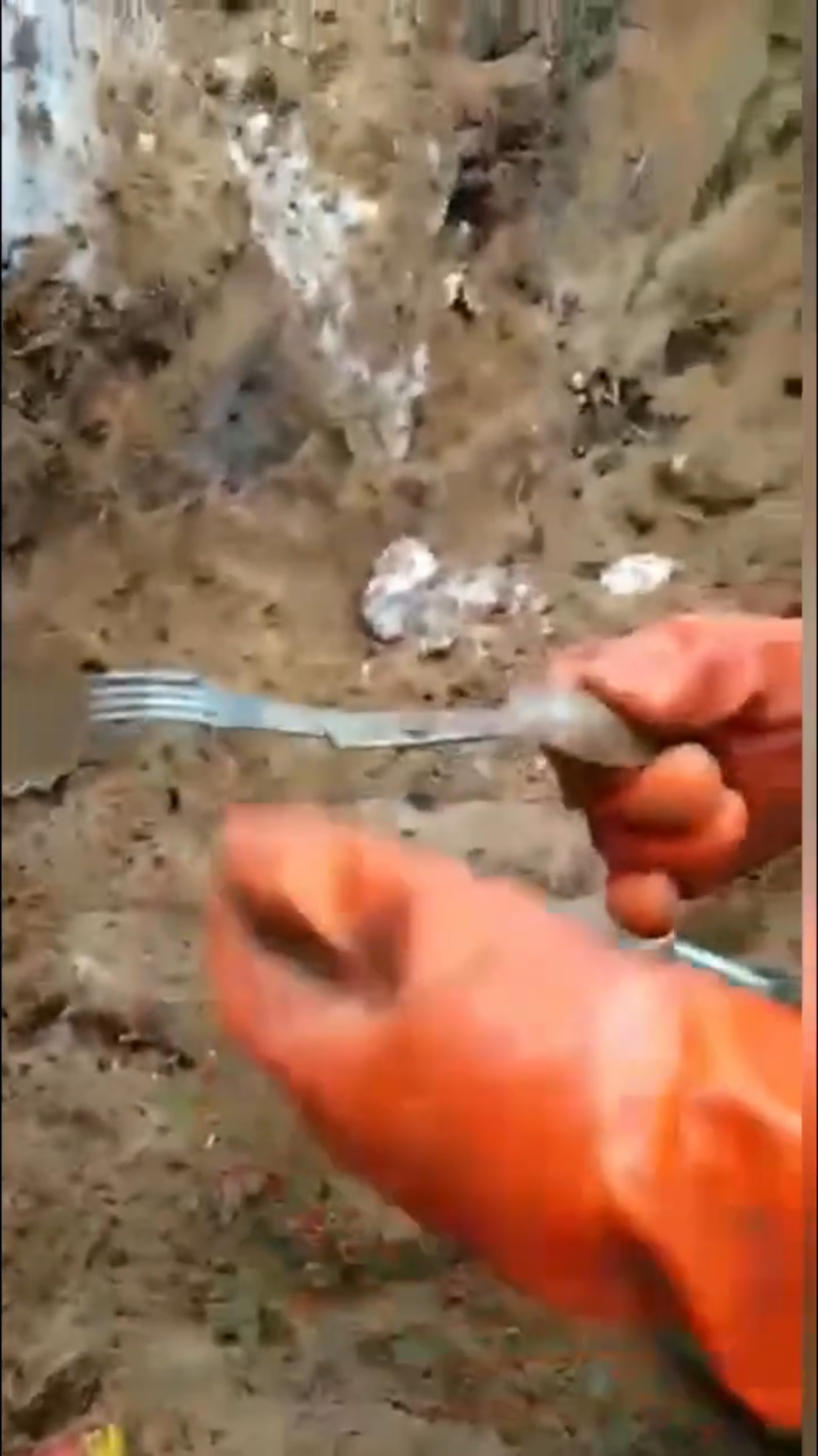 Нержавеющая ложка вилка #digging #ww2 #shortsvideo #shortsrutub #ww2 #вторая Мировая война смотреть онлайн