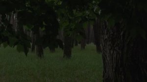 Лесной дождь и гроза 🌧️ расслабляющие звуки для сна, отдыха и учебы