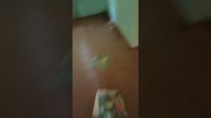 заброшенный лагерь (ходка 1я) #1