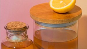 Чайный гриб: выращивание и приготовление комбучи