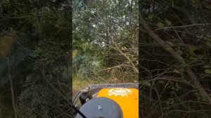 Погнали на расчистку дороги. 🚜🌲🌳 Работаю на экскаваторе-погрузчике Чукурова 888 #работа