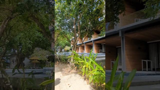 Шли покушать - вернулись с историей!
Дмитрий Масленников, сделал этот день!