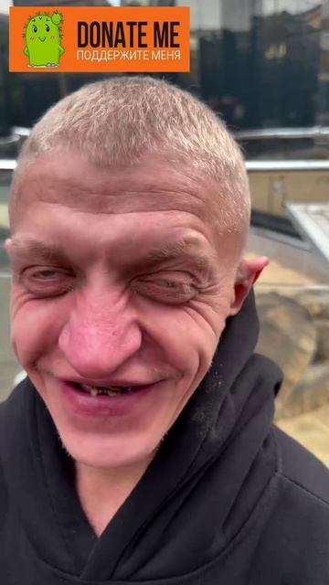 Василич и черепахи. смотреть онлайн