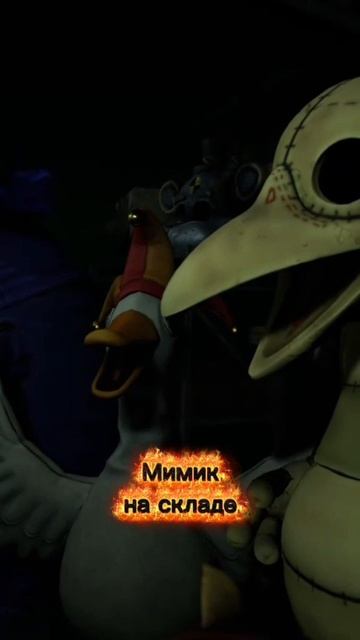 Мимик на складе