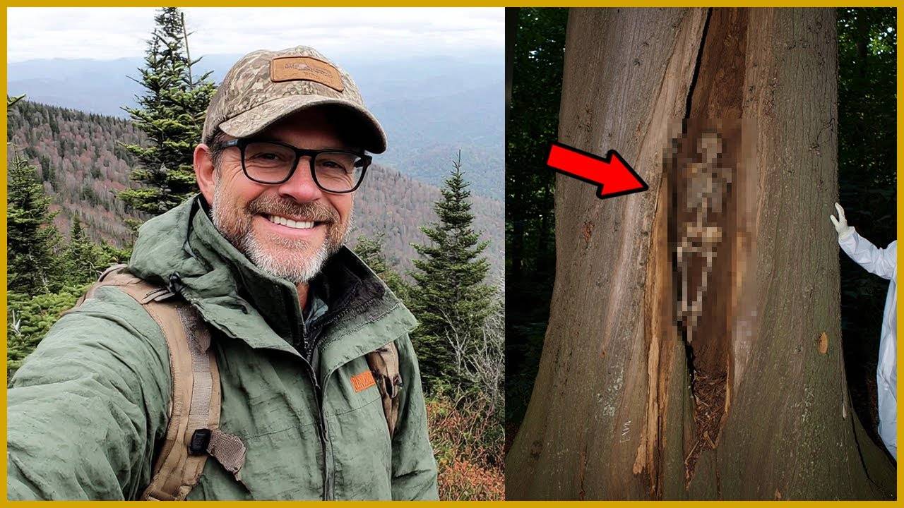 Турист Пропал в Redwood National Park — Его Кости Нашли в Пустом Дереве на Глубине 5 Метров... смотреть онлайн