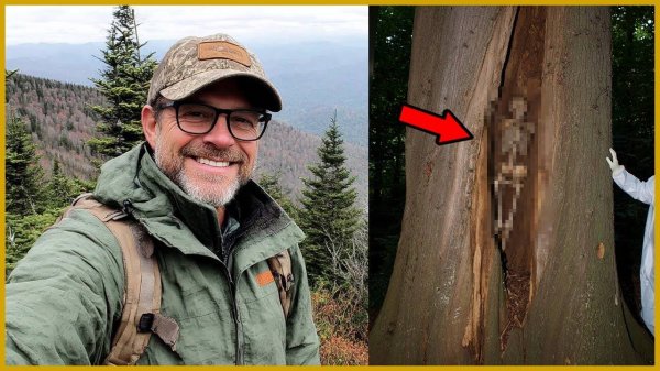 Турист Пропал в Redwood National Park — Его Кости Нашли в Пустом Дереве на Глубине 5 Метров...