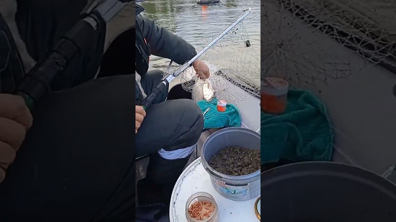 День Автомобилиста. Дон. РЫБЕЦ. #рыбалка