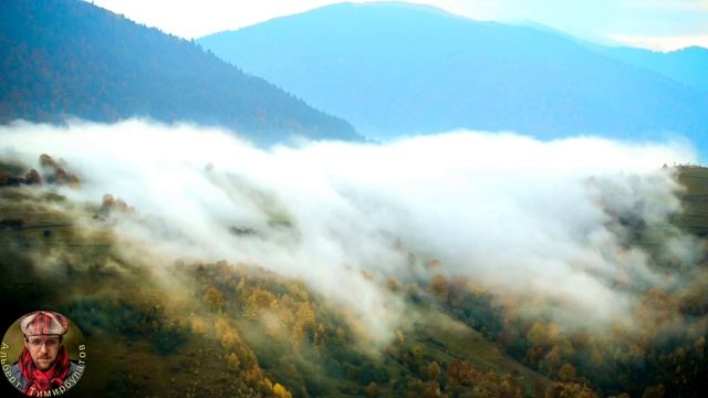 Люблю тебя смотреть онлайн