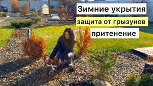 Отправляю сад на ЗИМОВКУ! Защищаю от мышей!