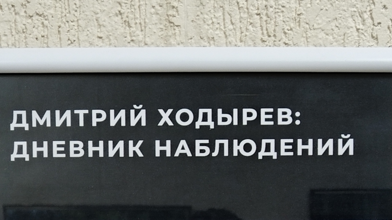 выставка Дмитрия Ходырева 