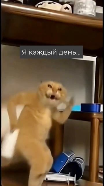 Когда психолог посоветовал… смотреть онлайн