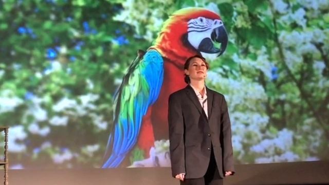 С. Есенин "Видно, так заведено навеки..." (Читает: Натали Силаева) смотреть онлайн