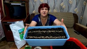 🌱 ОГОРОД НА ПОДОКОННИКЕ!! Сделайте так и всю Зиму будете с Укропом!!