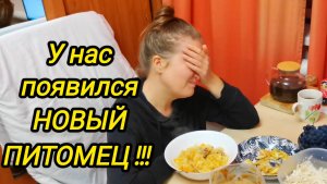 КУПИЛИ ДОМ В ДЕРЕВНЕ | У нас появился новый питомец | Дом в деревне | Семья в селе