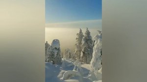 Сатсанг √82, Роберт Адамс.