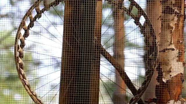 КОМЕДИЯ РОК Белка в колесе!((( смотреть онлайн