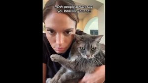 Коты похожи на своих хозяев