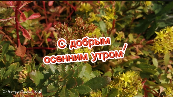 С добрым осенним утром! смотреть онлайн