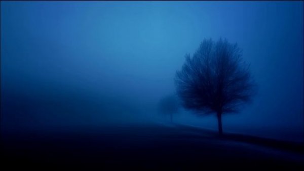 it's okay, slow down.