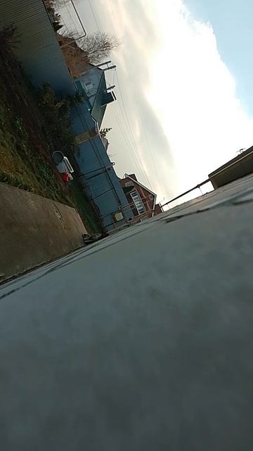 стеснительная собака 😅 смотреть онлайн